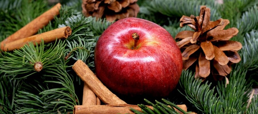 apple, fruit, red, christmas, decoration, apple, apple, apple, christmas, christmas, christmas, christmas, christmas
