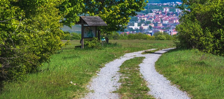 track, way, nature, city, würzburg, wanderlust, landscape, pathway, path, trail, forest, route, road, grass, meadow, travel, franken, bayern, deutschland, germany, hiking, green city, green travel, green road, green path