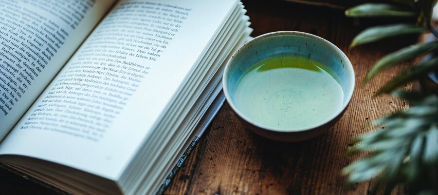 reading, tea, teatime, teapot, green tea, japan, sencha, rainy, nature, rain, calm