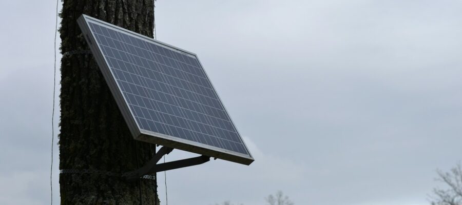 a solar panel attached to a tree