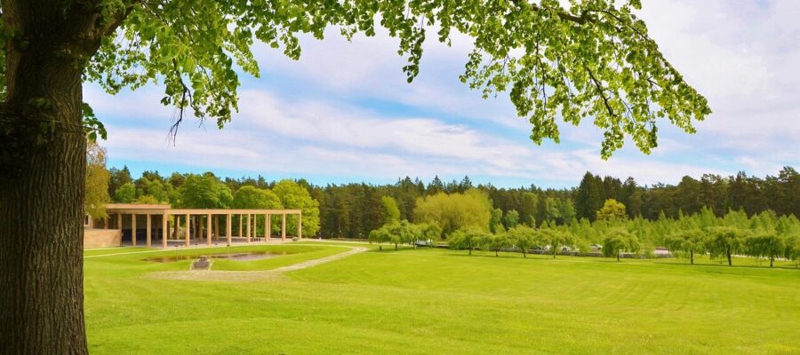 natur, grass, summer, green, spring, park, garden, landscape, tree, nature, natural