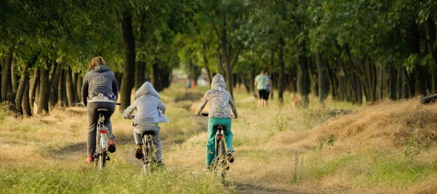 family, vacation, kids, forest, sports, bicycle, well-being, harmony, nature, warmly, family vacation, love, beauty, day, grass