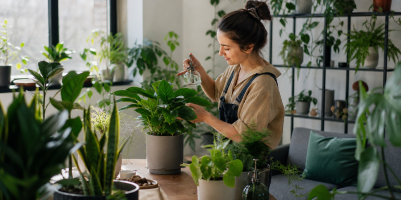 Indoor Gardening als neuer Trend: worauf es bei Luft und Klima ankommt