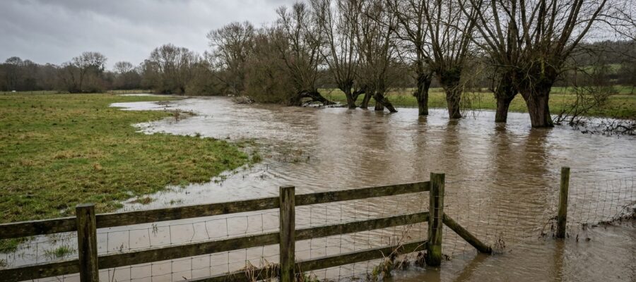Überflutete Uferwiese an einem Fluss nach starkem Regen